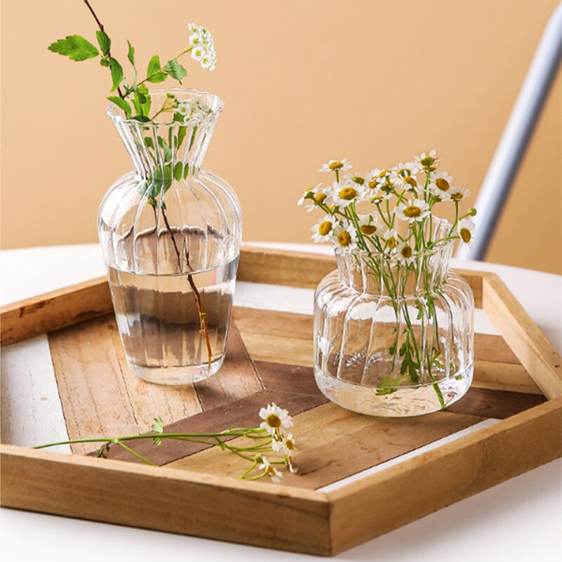 Glas-Blumenvasen im nordischen Stil - Transparente Pflanzenvase - Unique Outlet